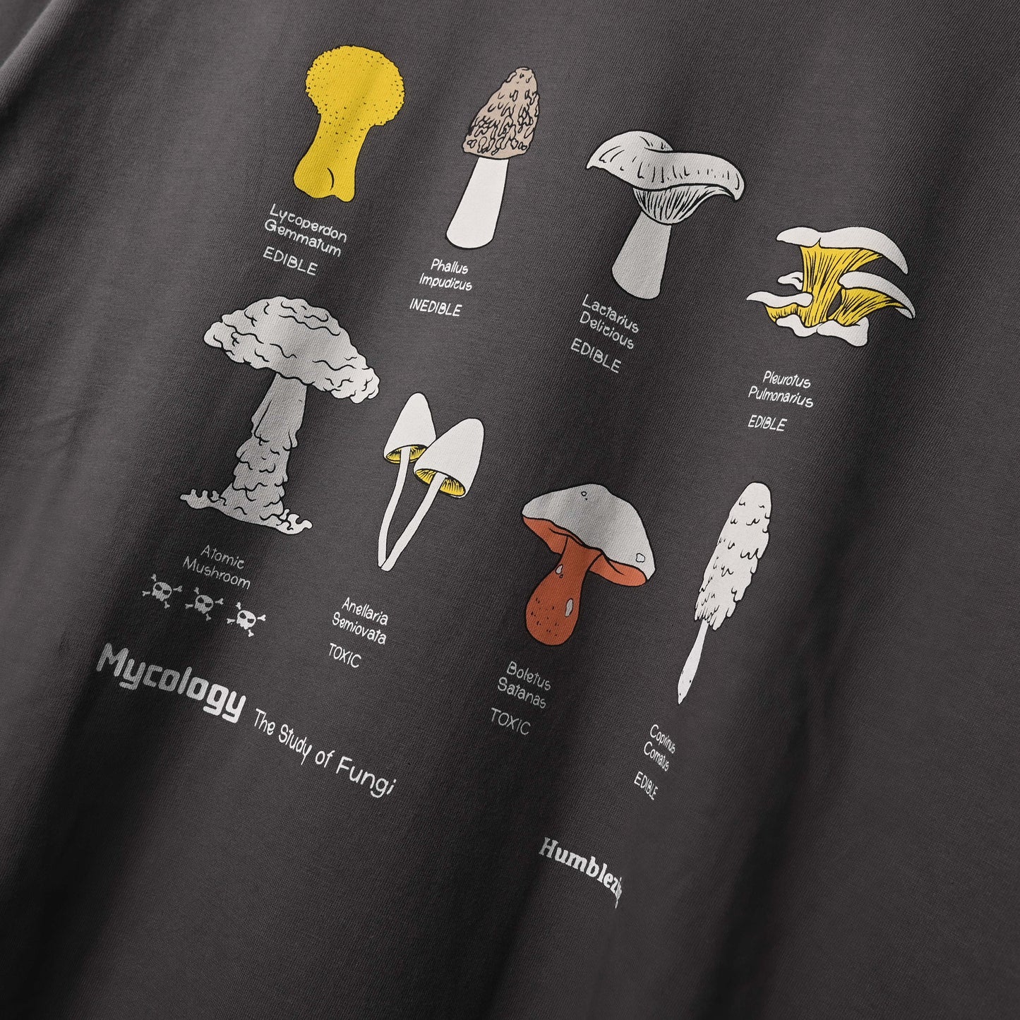 Mycology Longsleeve T-shirt Space Gray