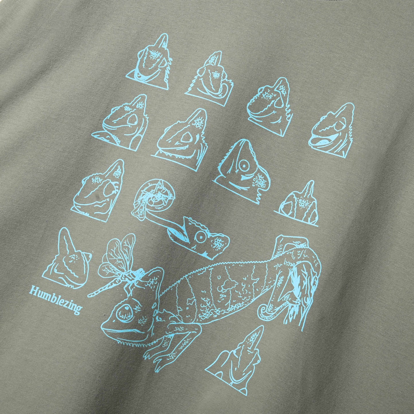 Iguana Longsleeve Tshirt Pastel Green
