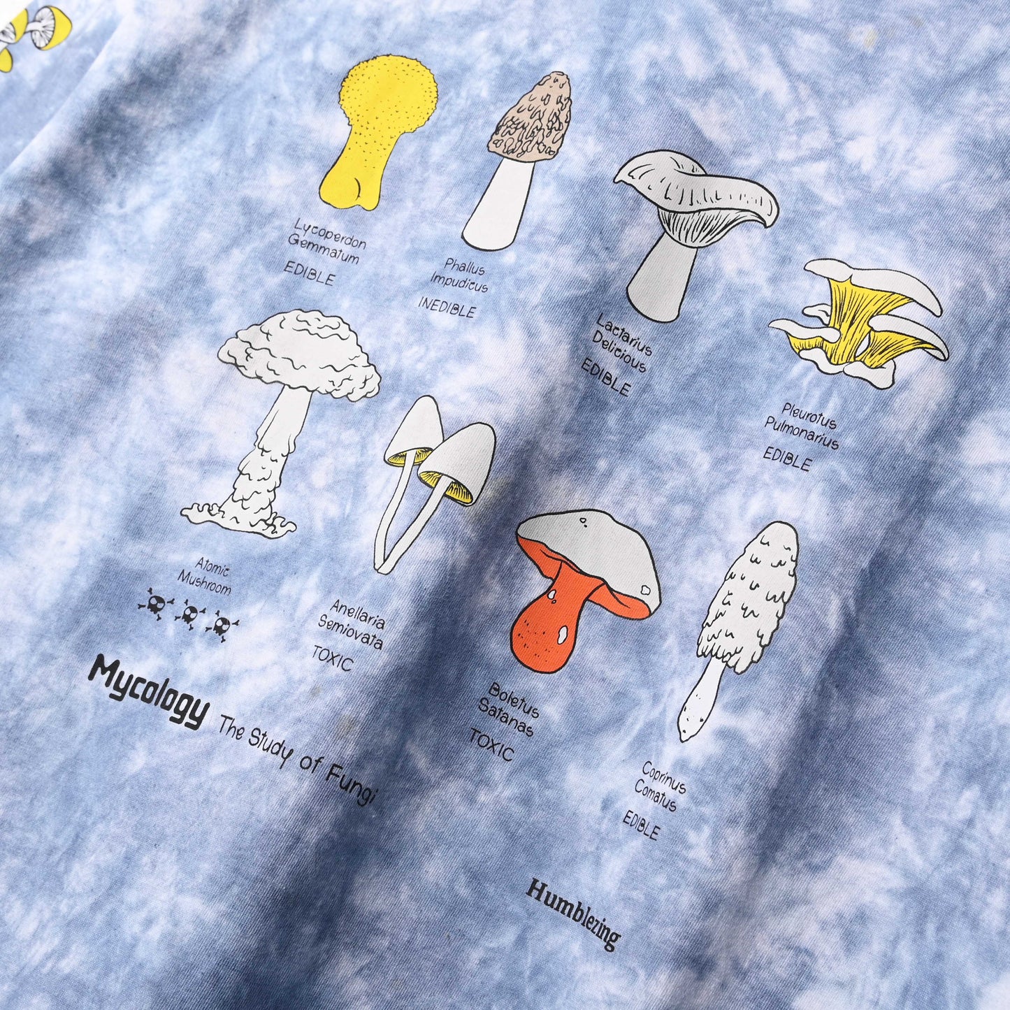 Mycology Longsleeve T-shirt Clouds Tie Dye